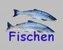 Logo von Anglerverein Fischerrunde Mostlandlteiche